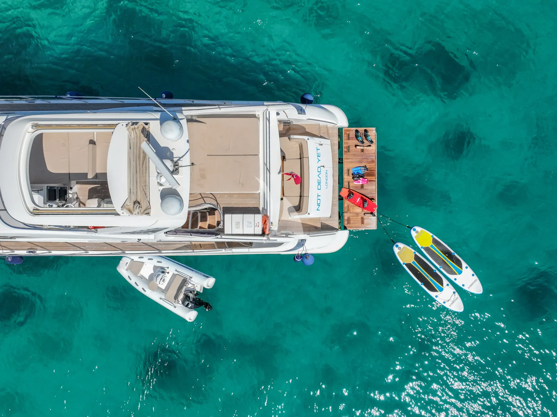 NOT DEAD YET Charter Yacht