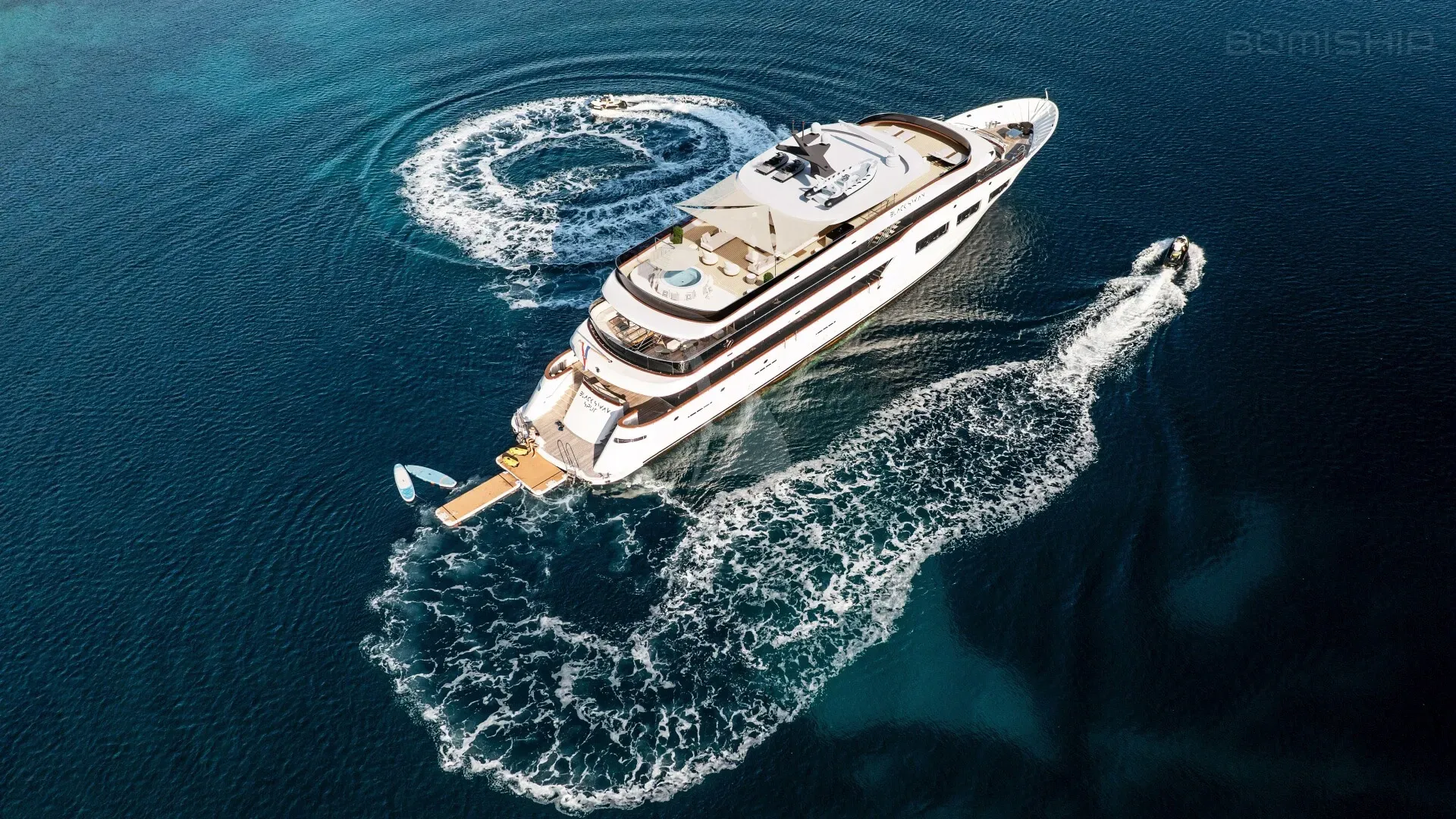 BLACK SWAN Charter Yacht