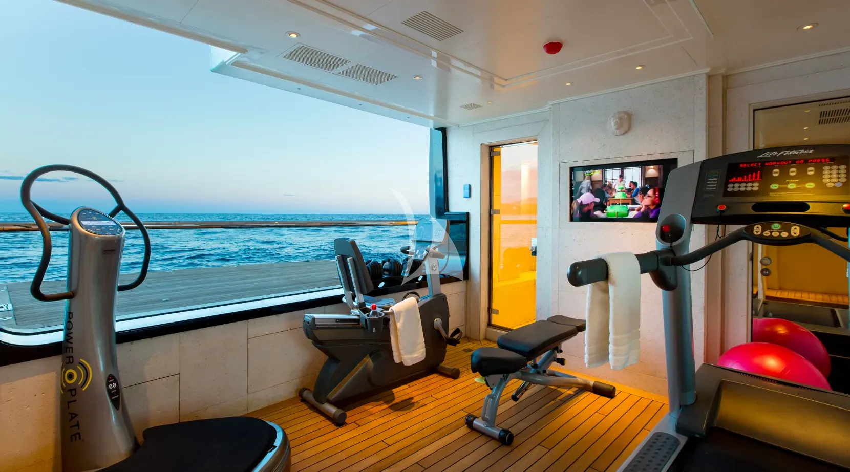 LIONESS V Charter Yacht