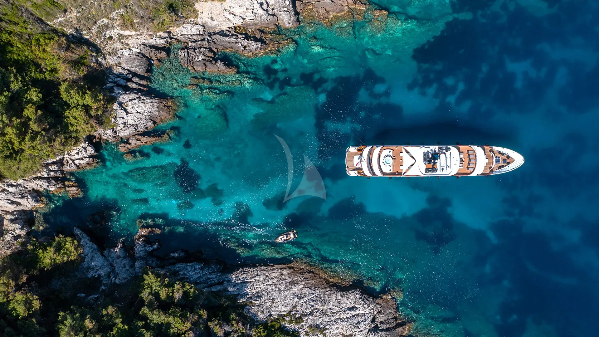 BLACK SWAN Charter Yacht