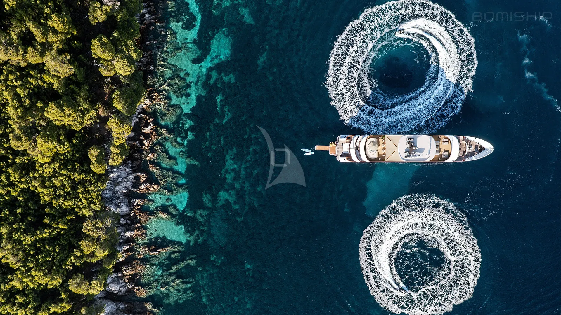 BLACK SWAN Charter Yacht