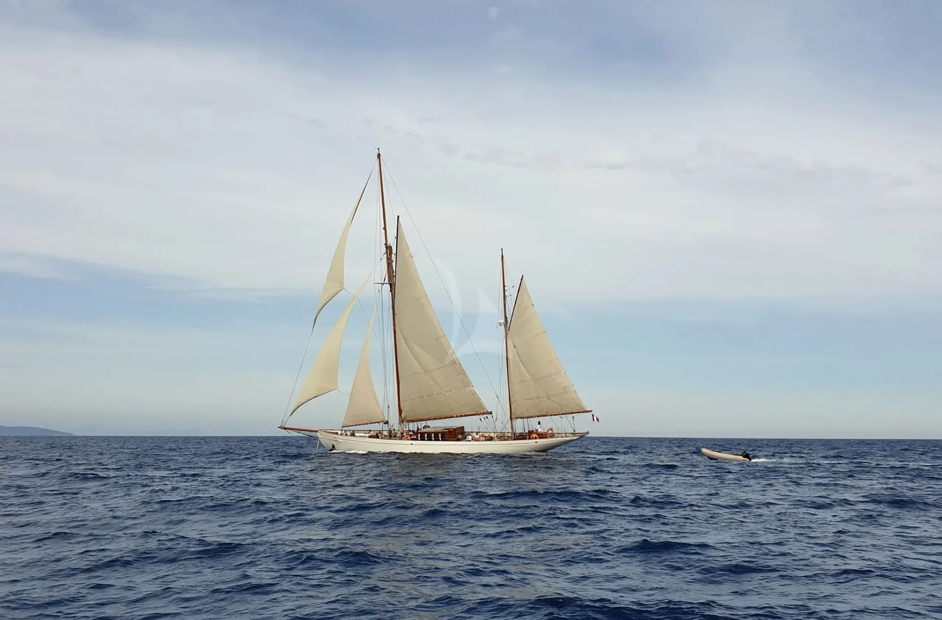 Black Swan Charter Yacht