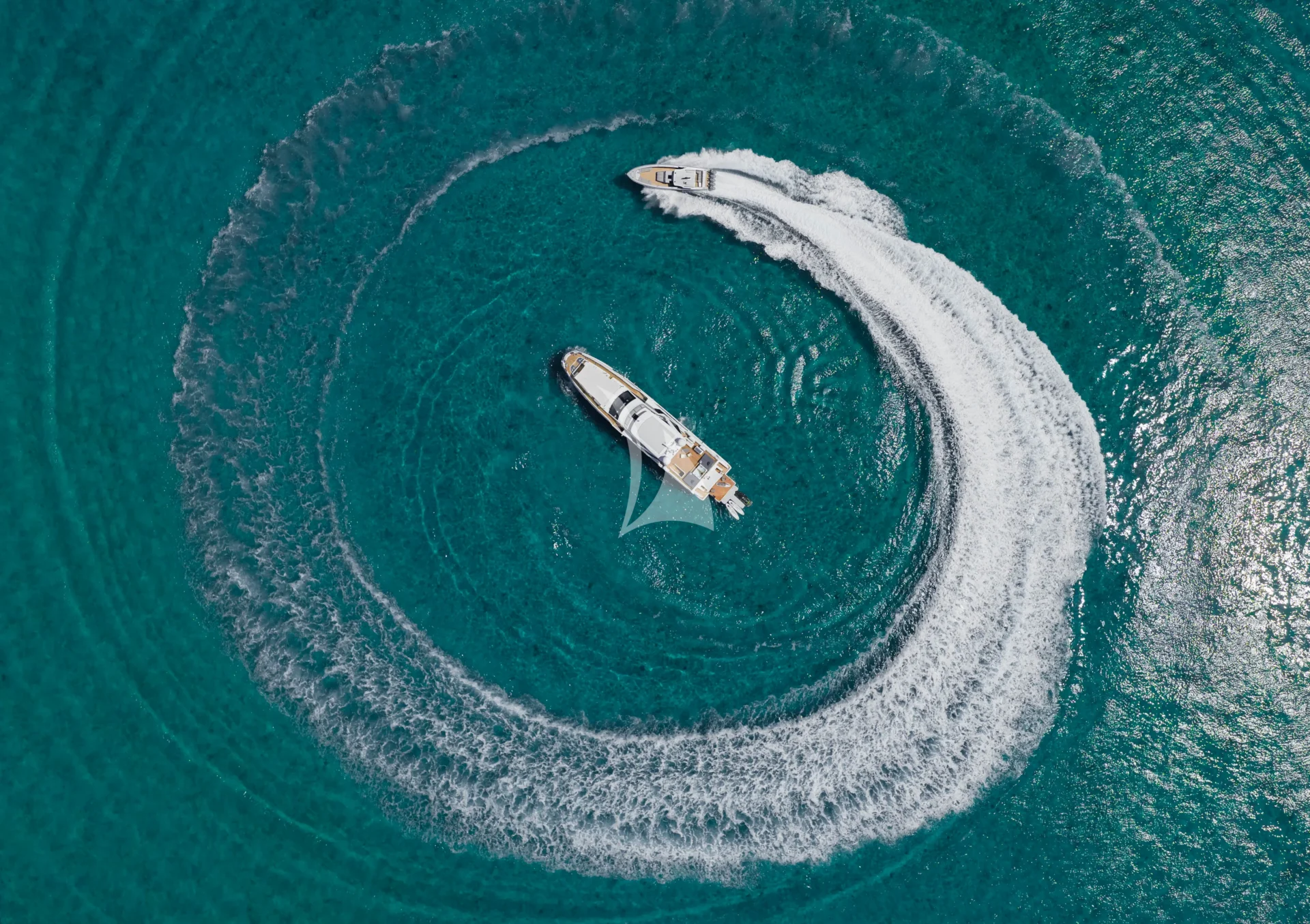 CARPE DIEM Charter Yacht