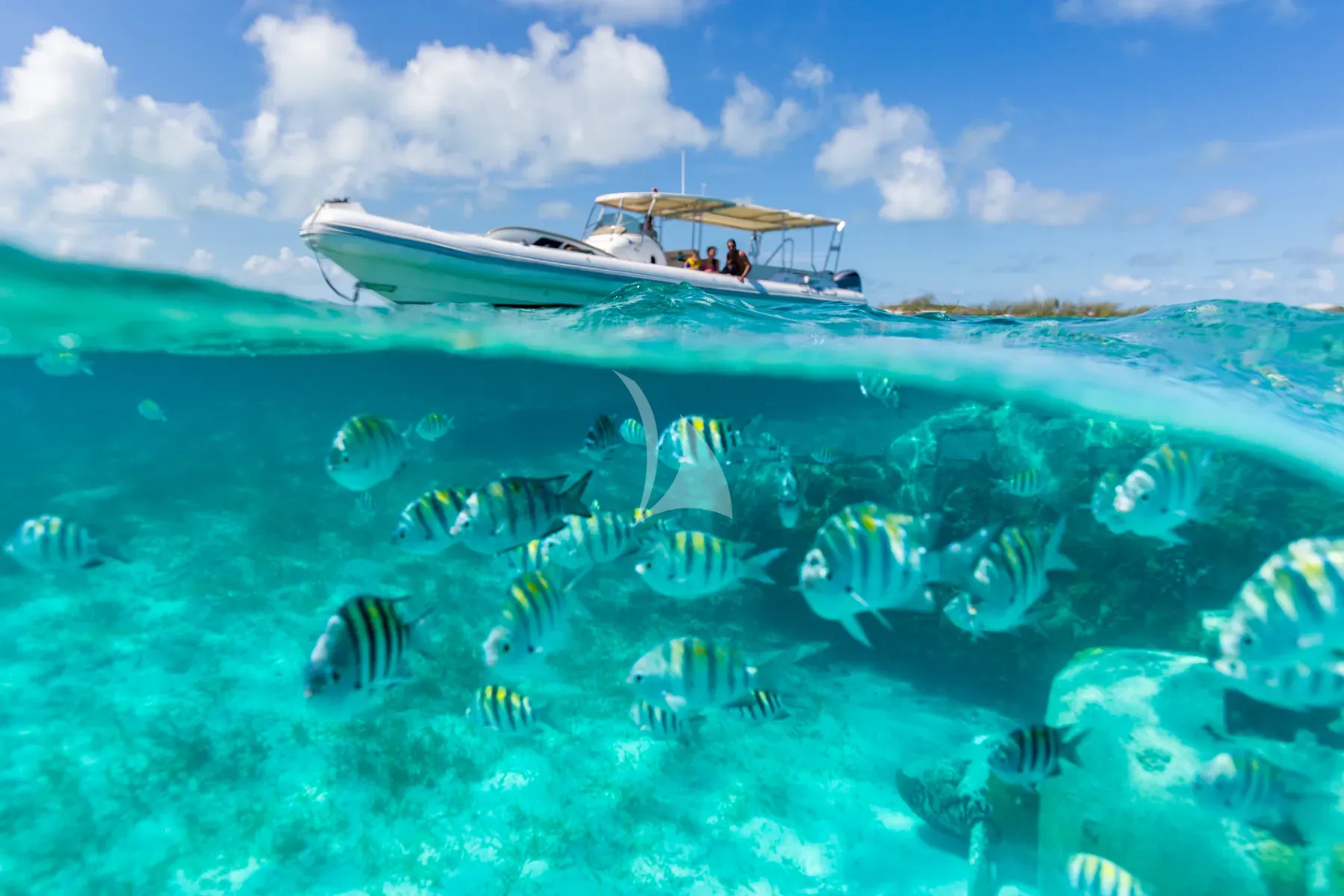 Lady Joy Charter Yacht