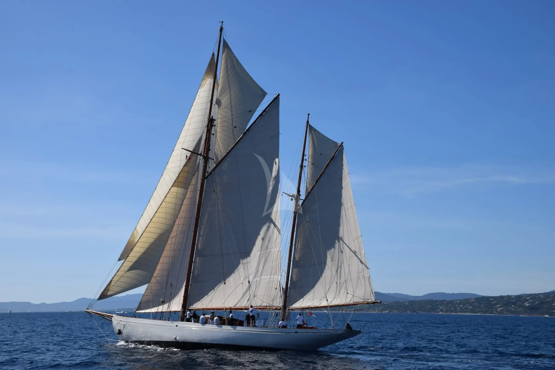 Black Swan Charter Yacht