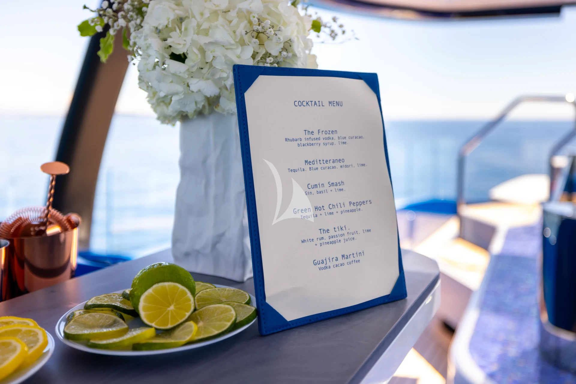 SUI GENERIS Charter Yacht