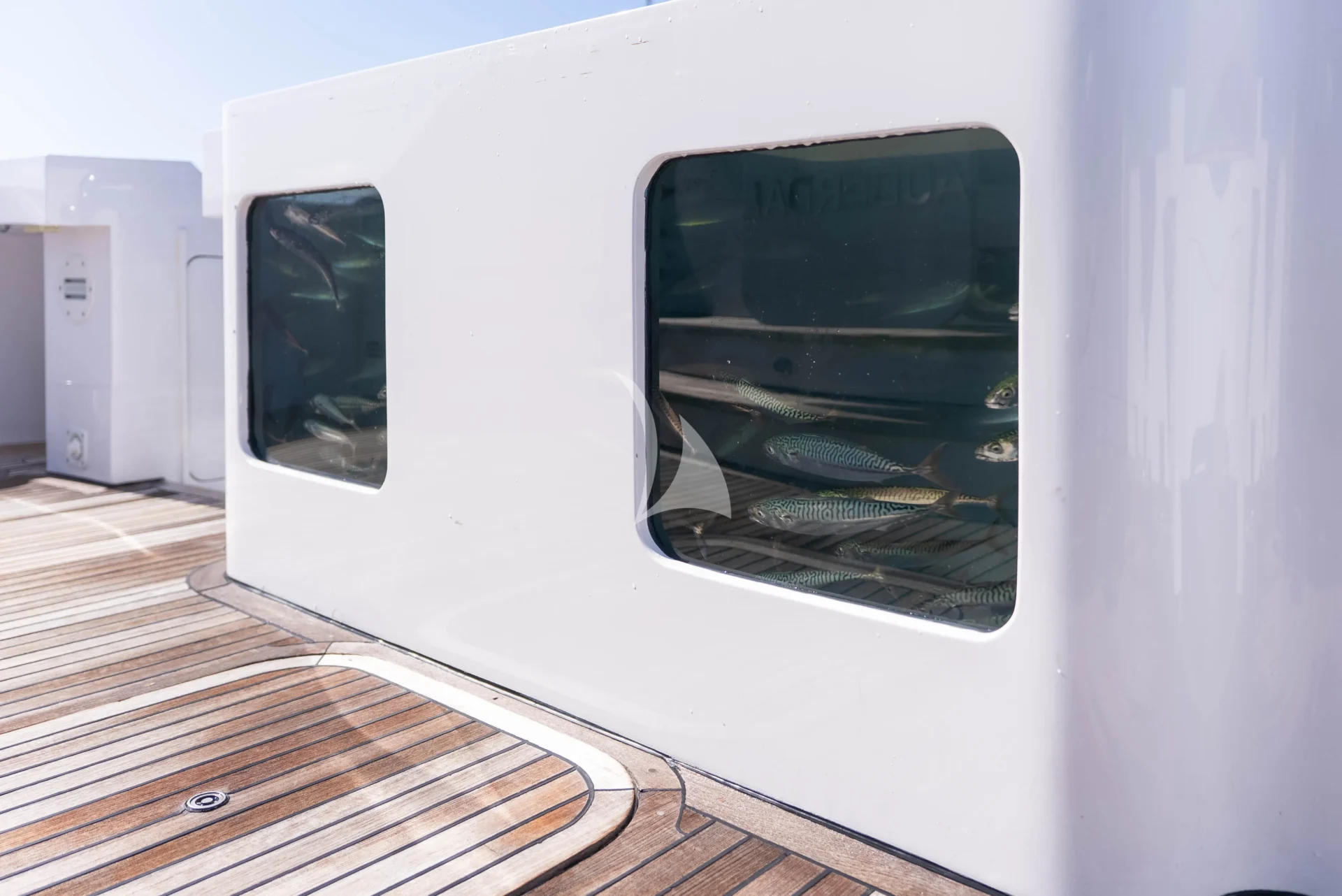 TANZANITE Charter Yacht