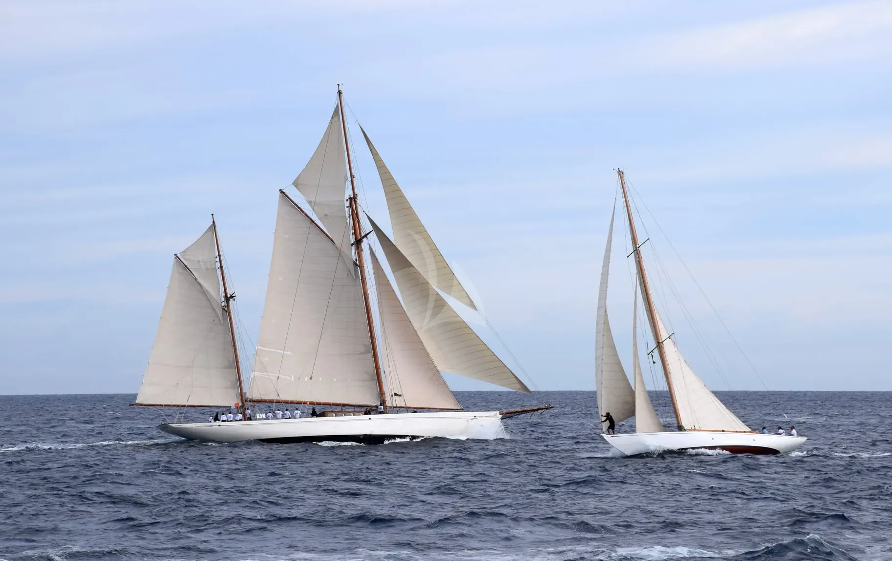 Black Swan Charter Yacht