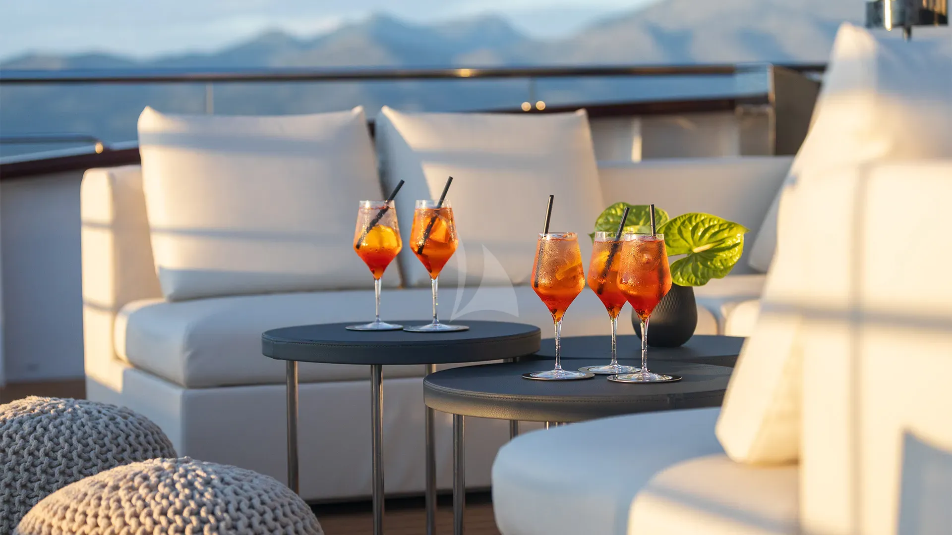 BLACK SWAN Charter Yacht