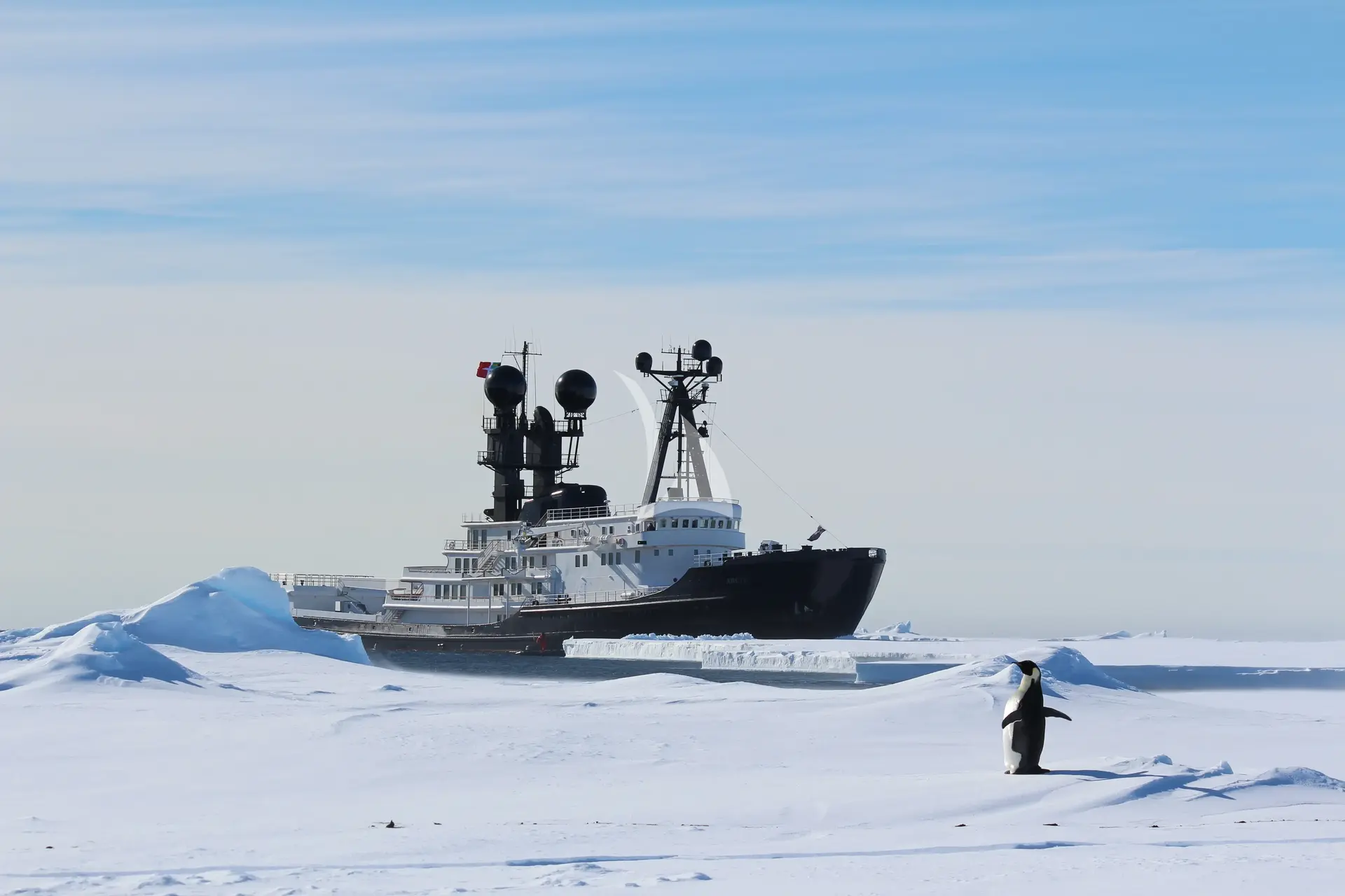 ARCTIC Charter Yacht