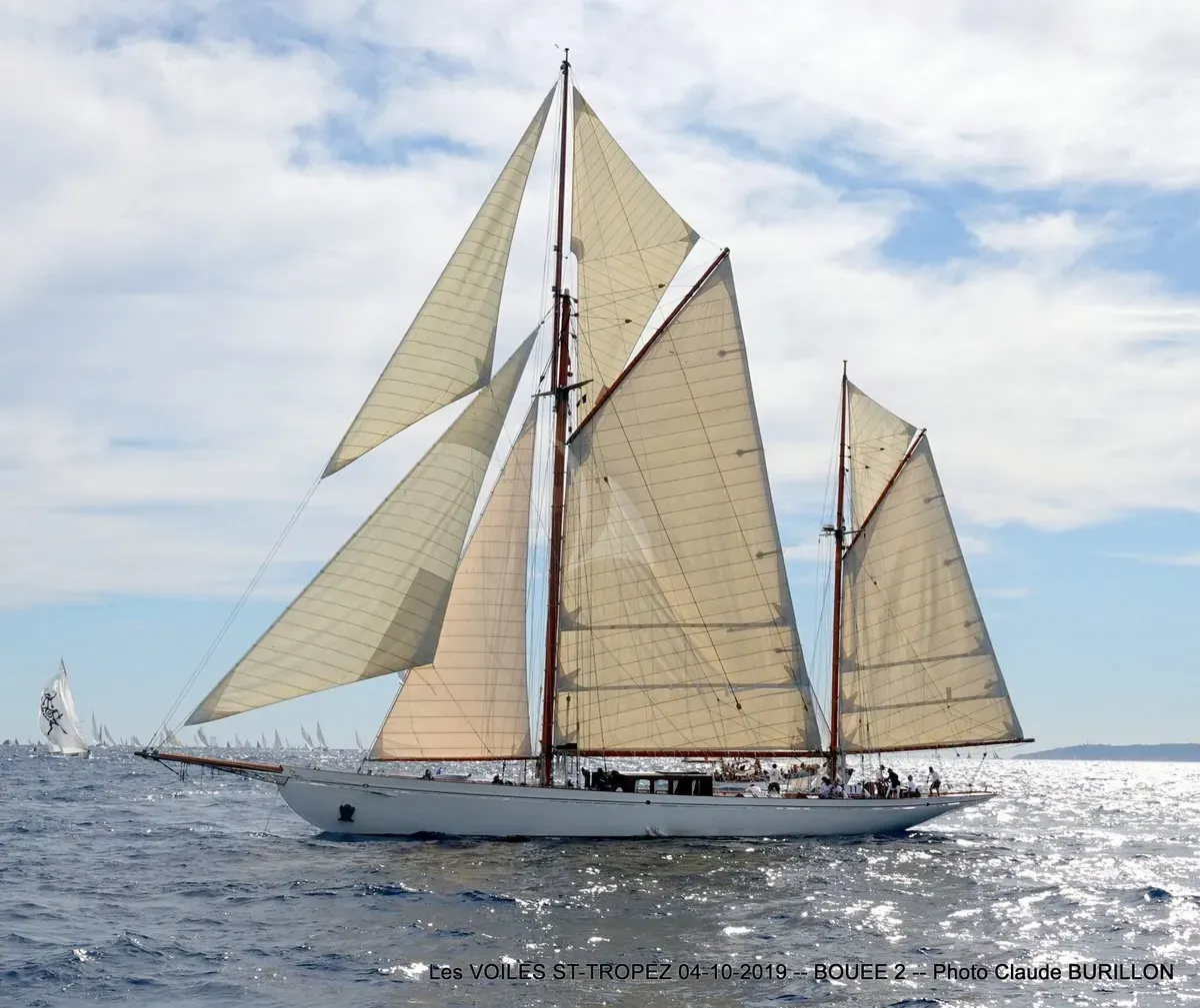 Black Swan Charter Yacht