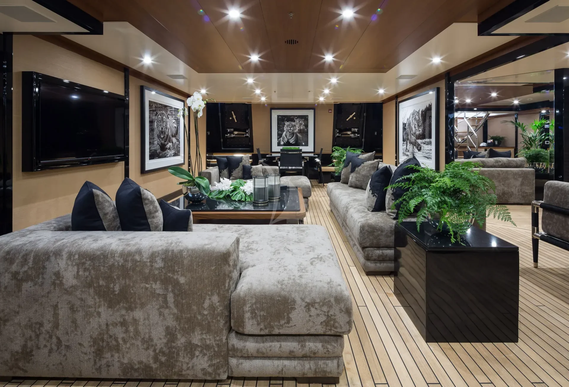 TRIUMPH Charter Yacht