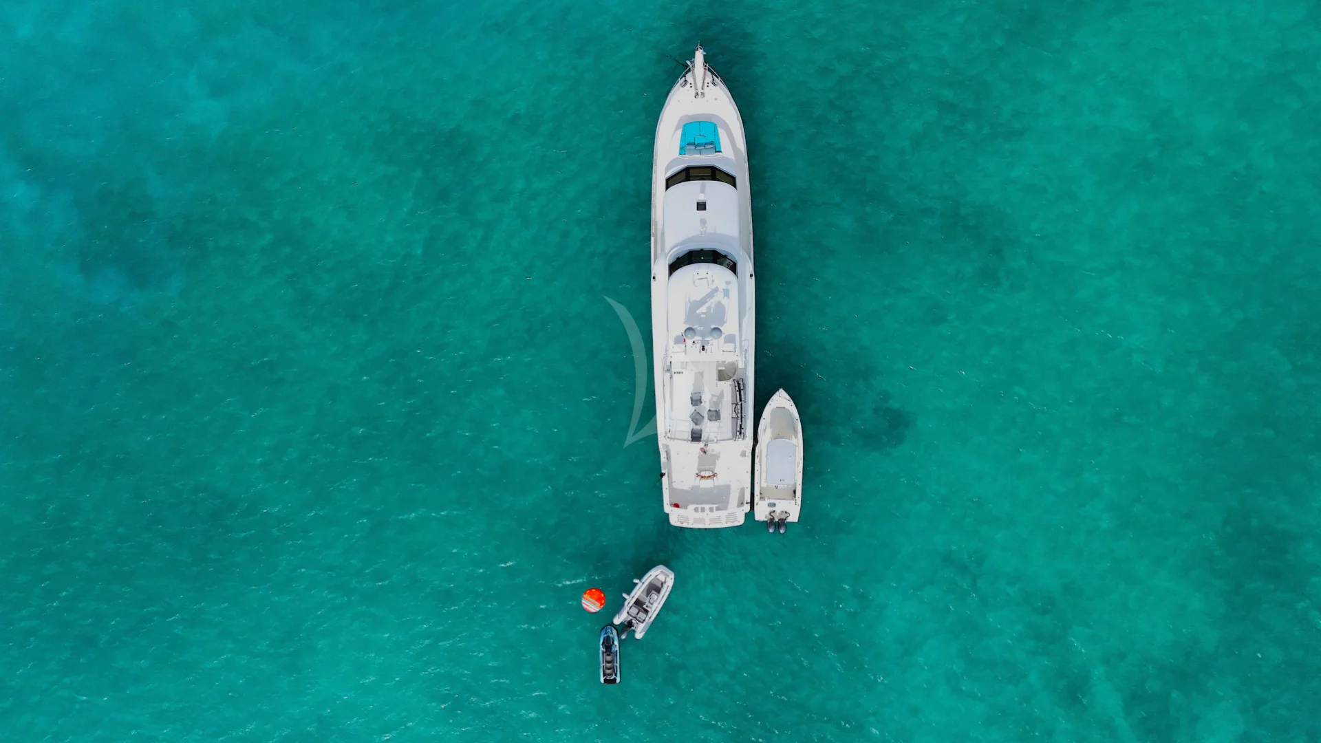 Andiamo Charter Yacht