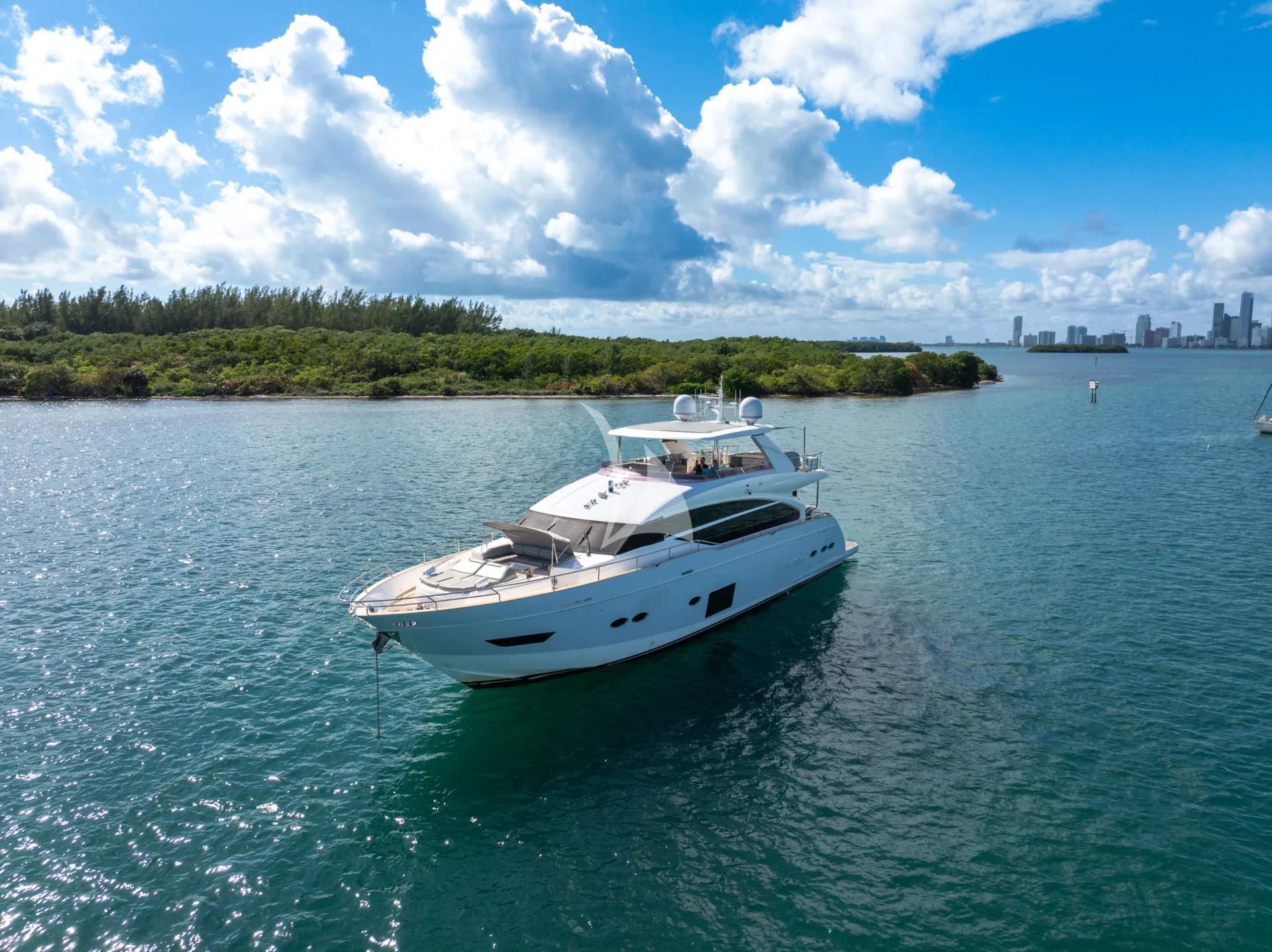 FREEDOM Charter Yacht