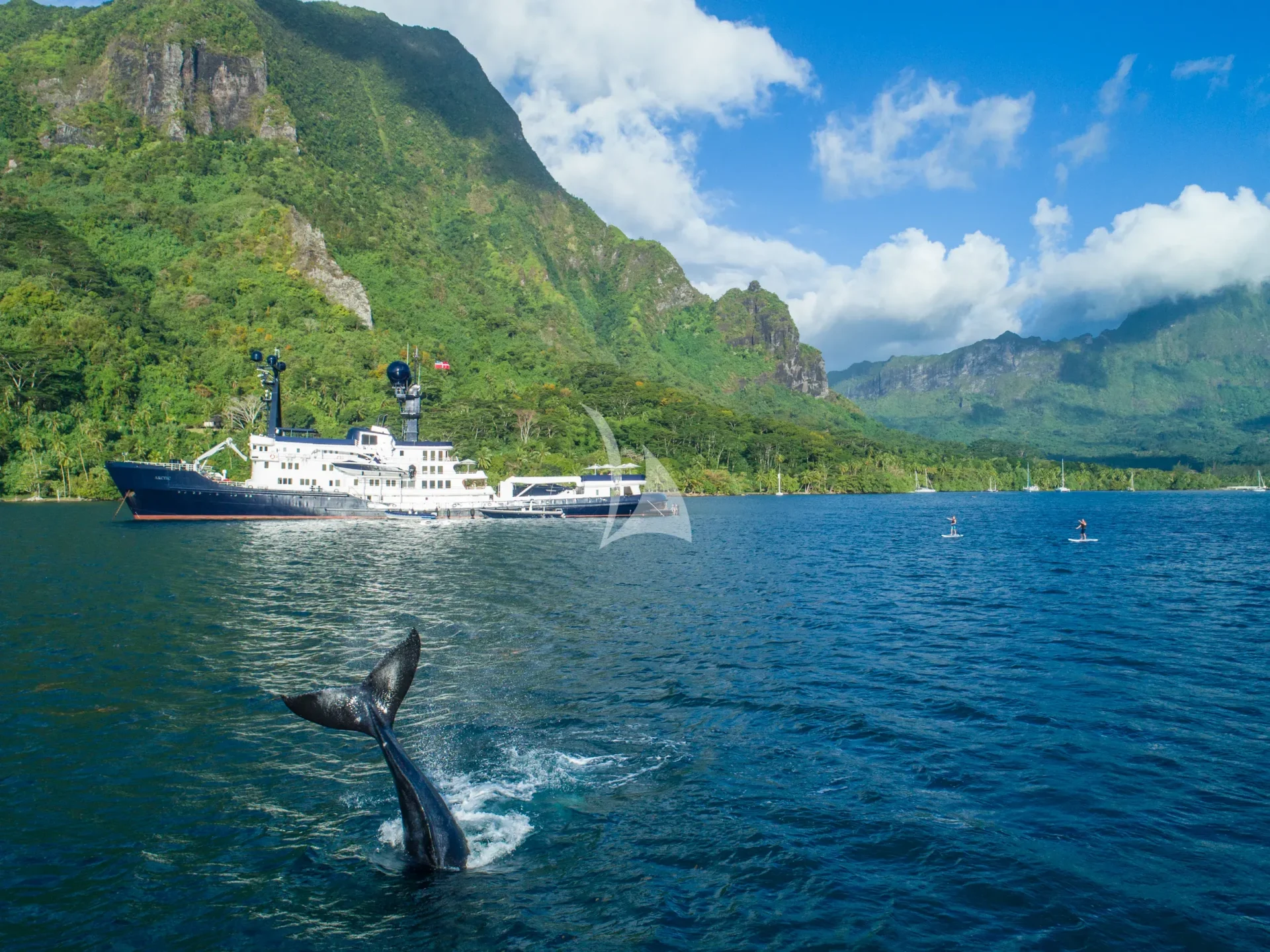 ARCTIC Charter Yacht