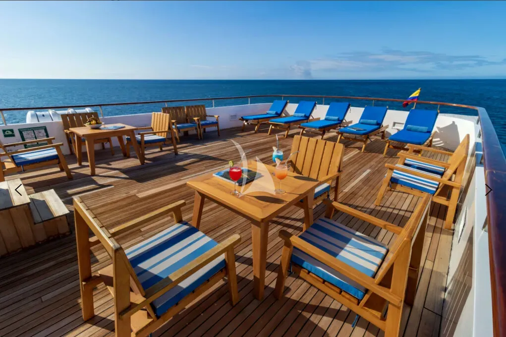 M/Y PASSION Charter Yacht