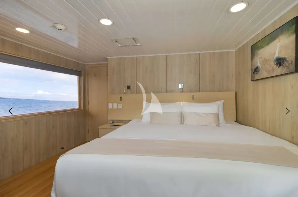 M/Y PASSION Charter Yacht