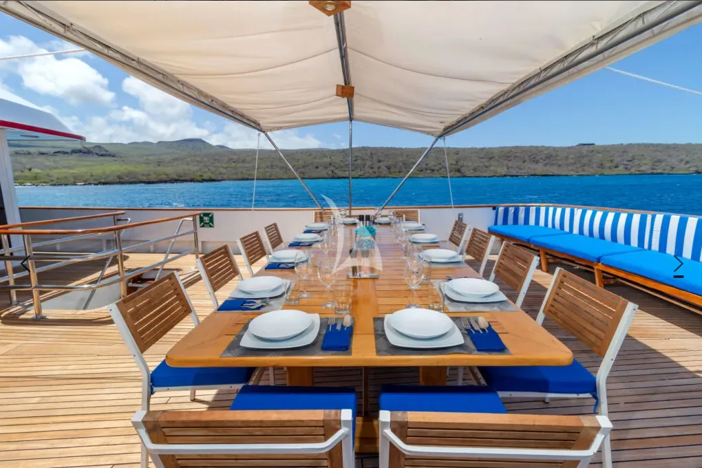M/Y PASSION Charter Yacht