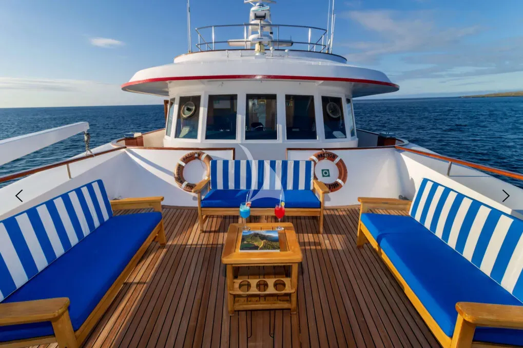M/Y PASSION Charter Yacht